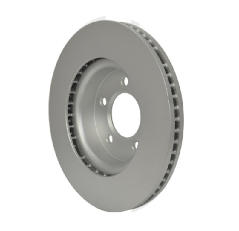 Pagid Disc Brake Rotor
