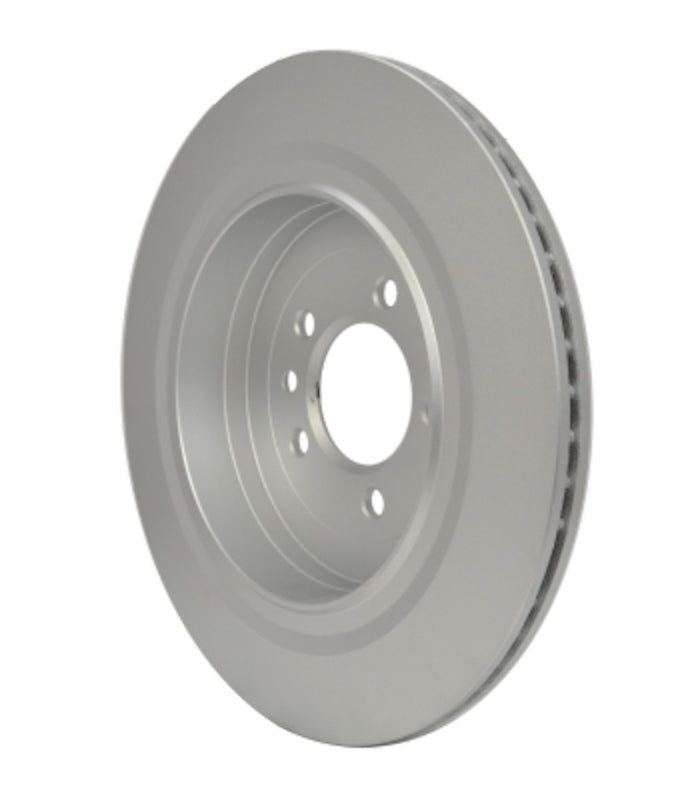 Pagid Disc Brake Rotor