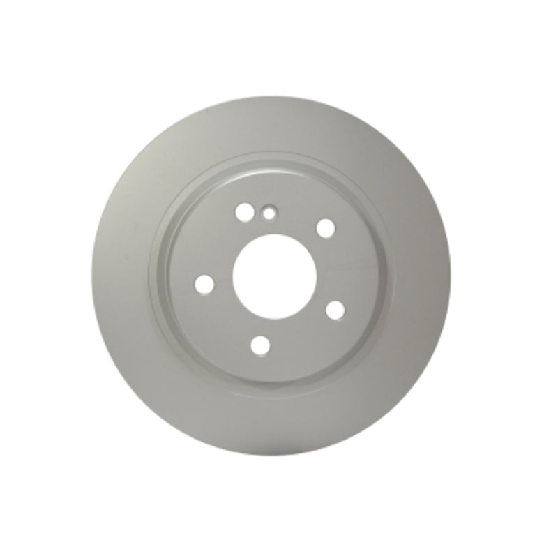 Pagid Disc Brake Rotor