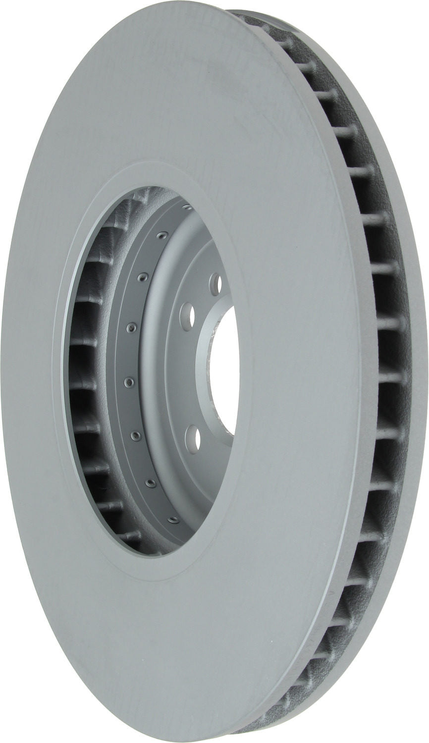 Pagid Disc Brake Rotor