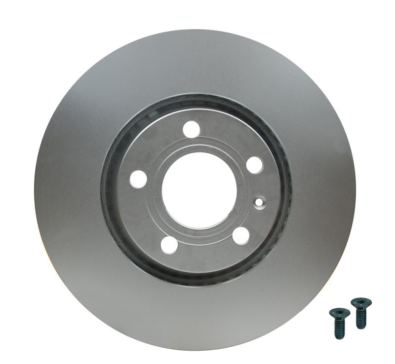 Pagid Disc Brake Rotor