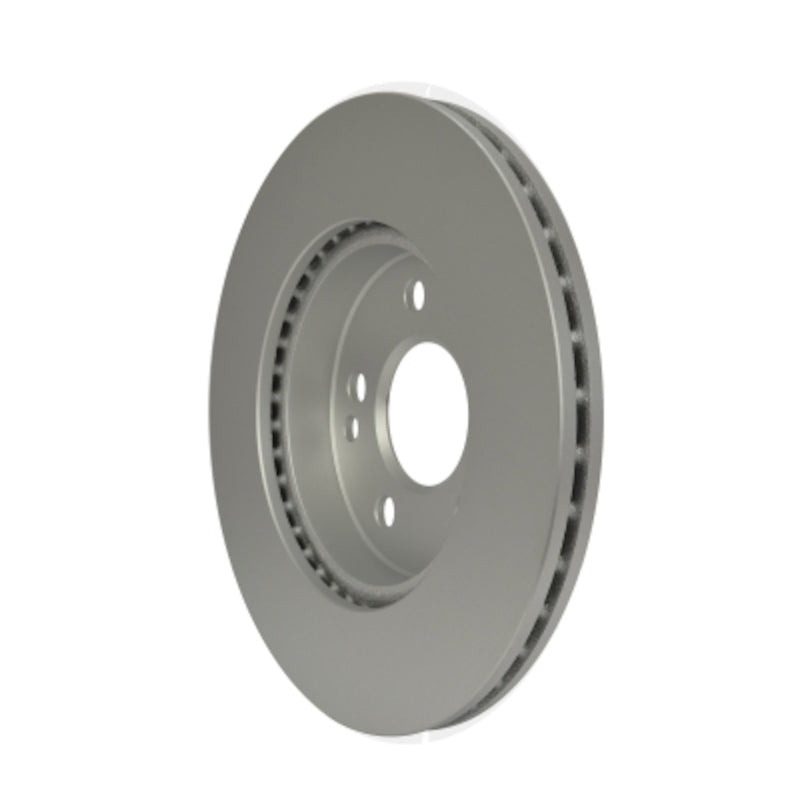 Pagid Disc Brake Rotor