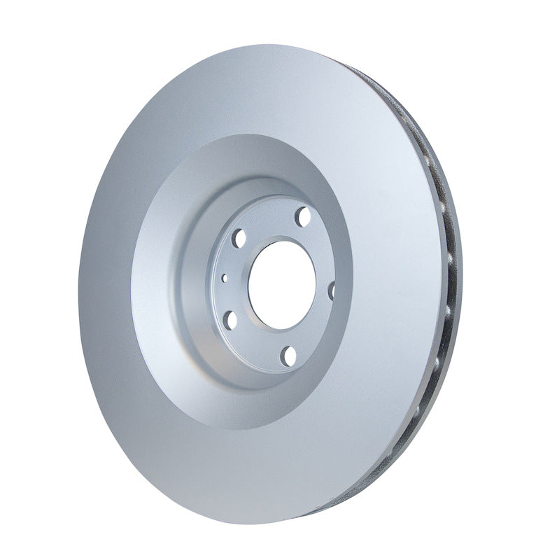 Pagid Disc Brake Rotor