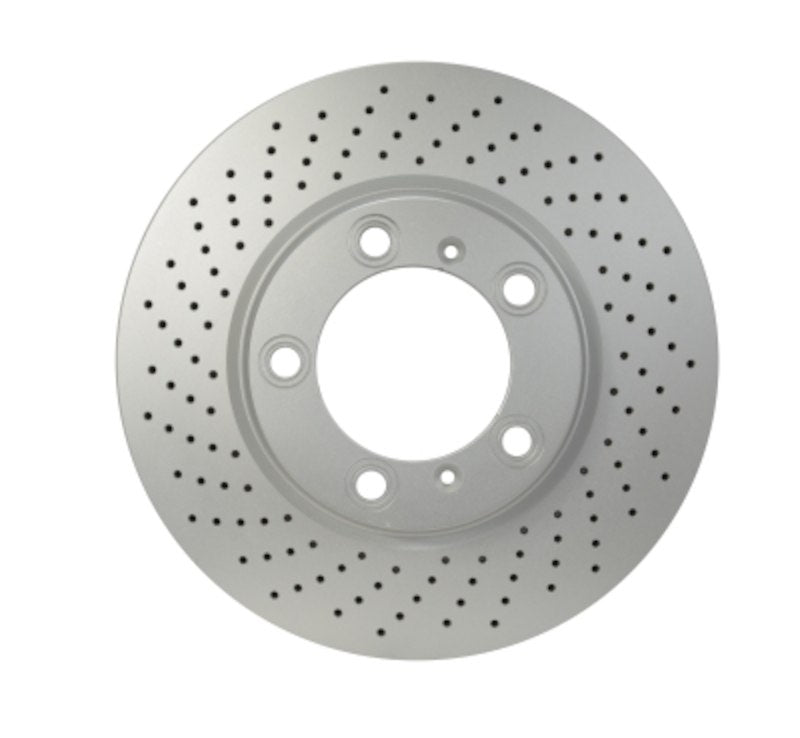 Pagid Disc Brake Rotor