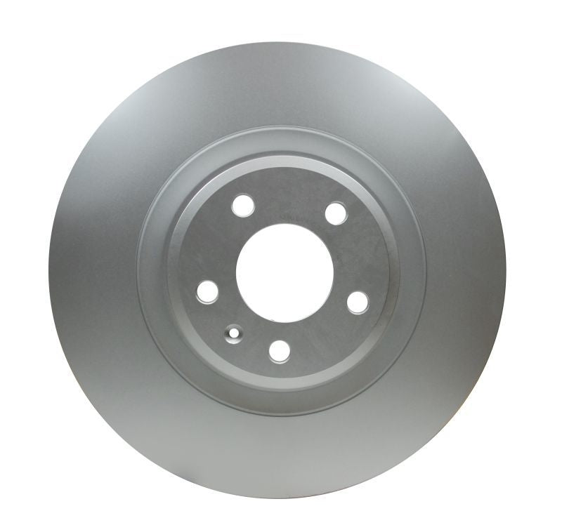 Pagid Disc Brake Rotor