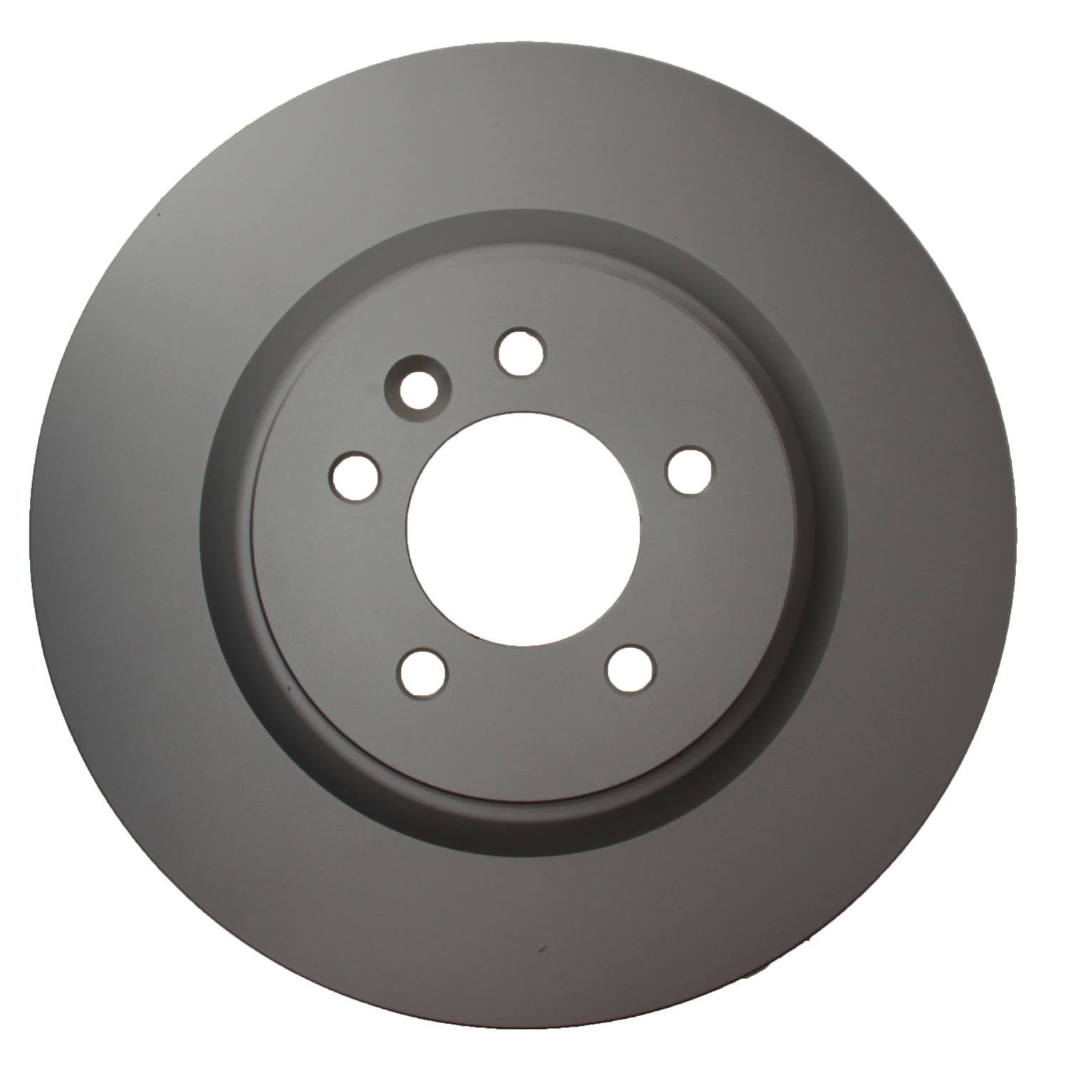 Pagid Disc Brake Rotor