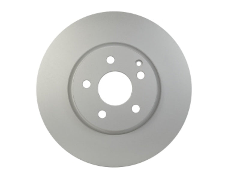 Pagid Disc Brake Rotor