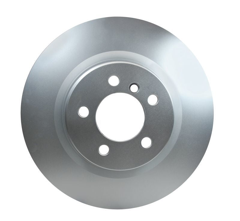 Pagid Disc Brake Rotor