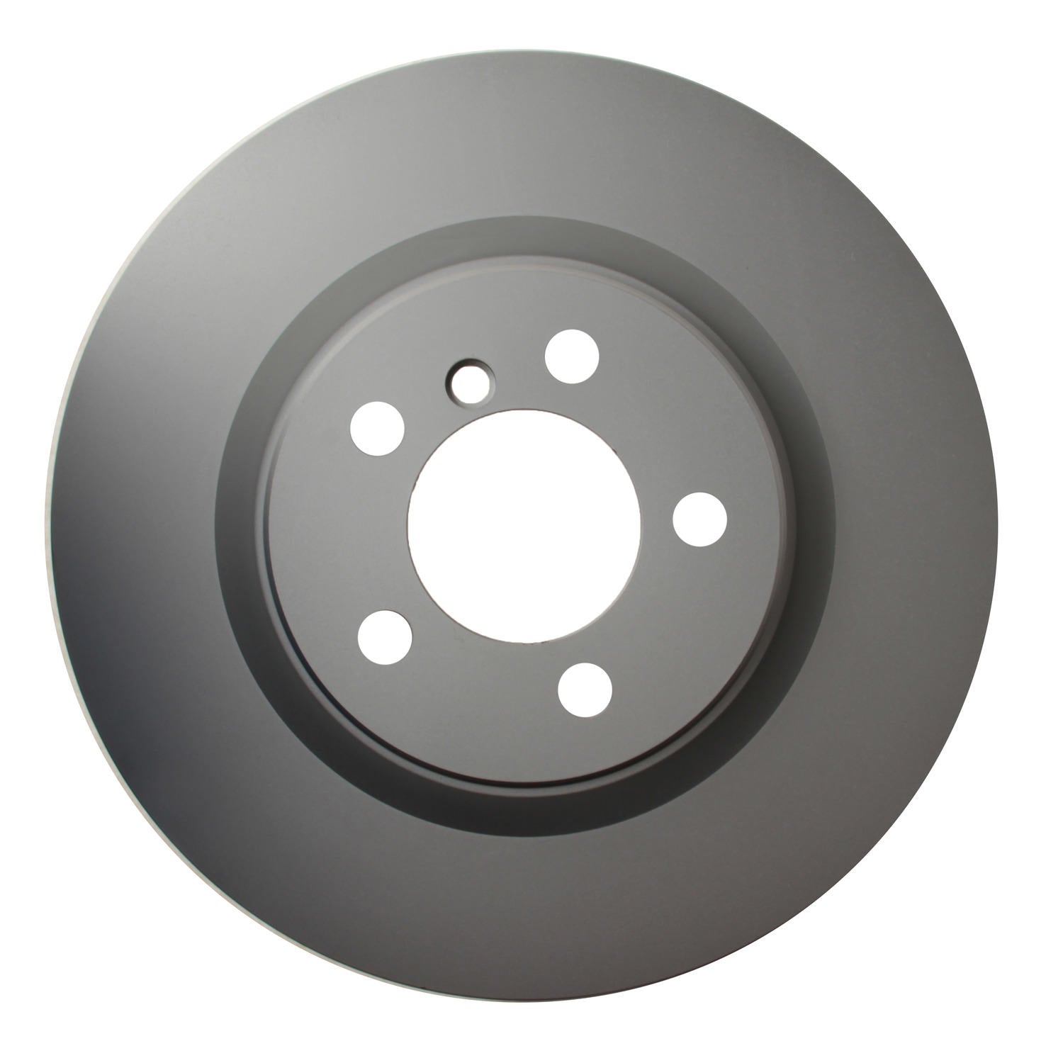 Pagid Disc Brake Rotor