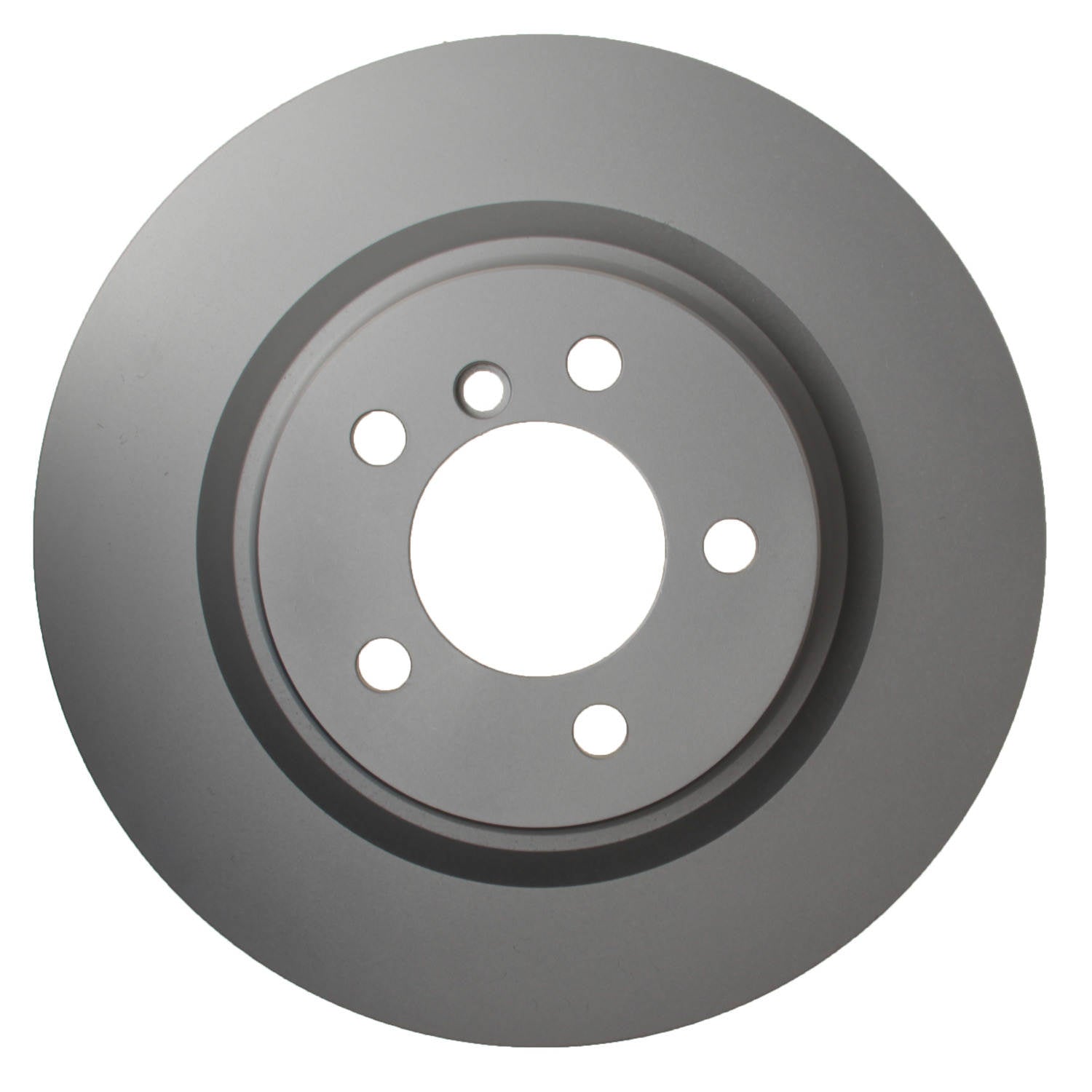 Pagid Disc Brake Rotor