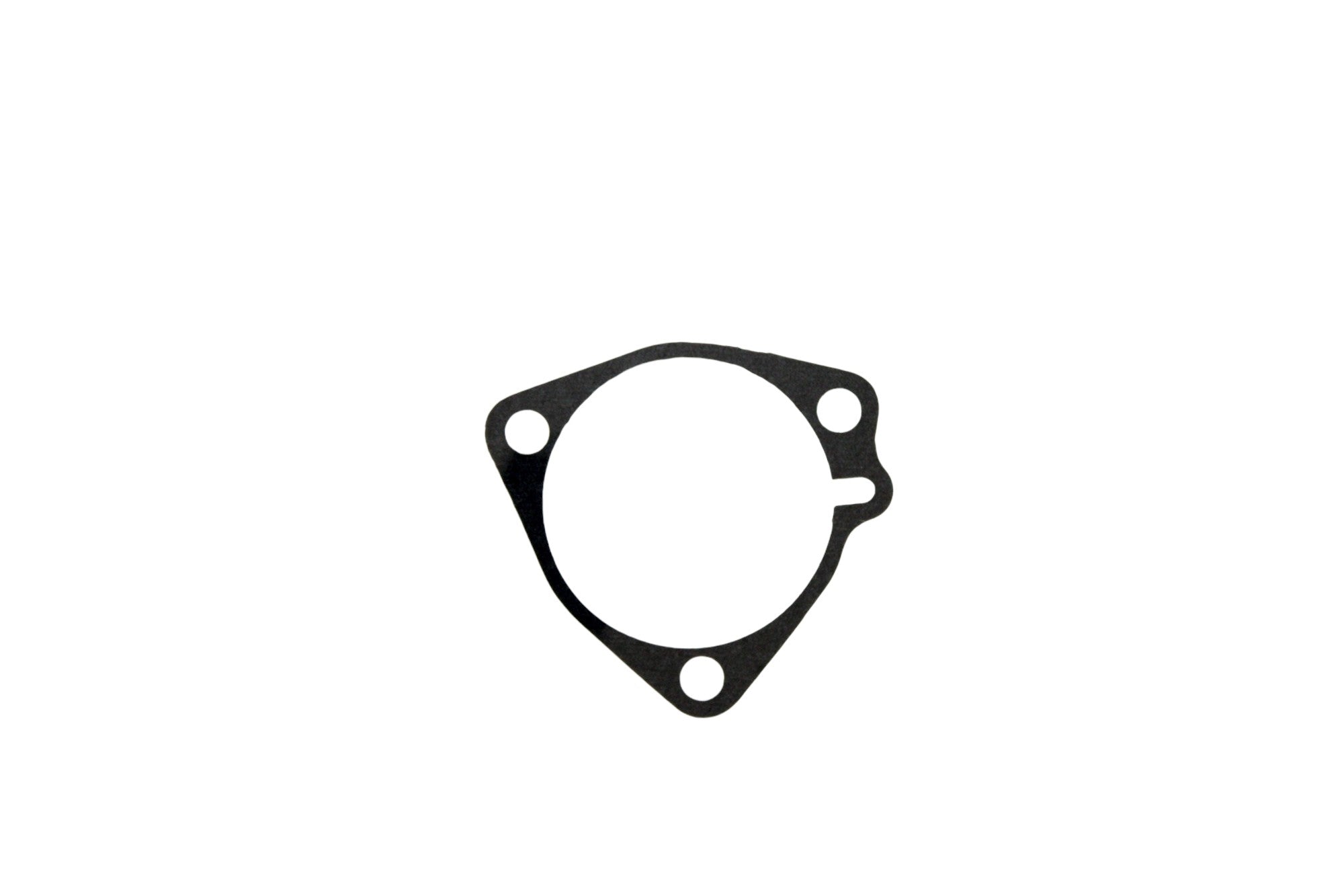 Pioneer Automotive Industries Automatic Transmission Case Gasket 749116