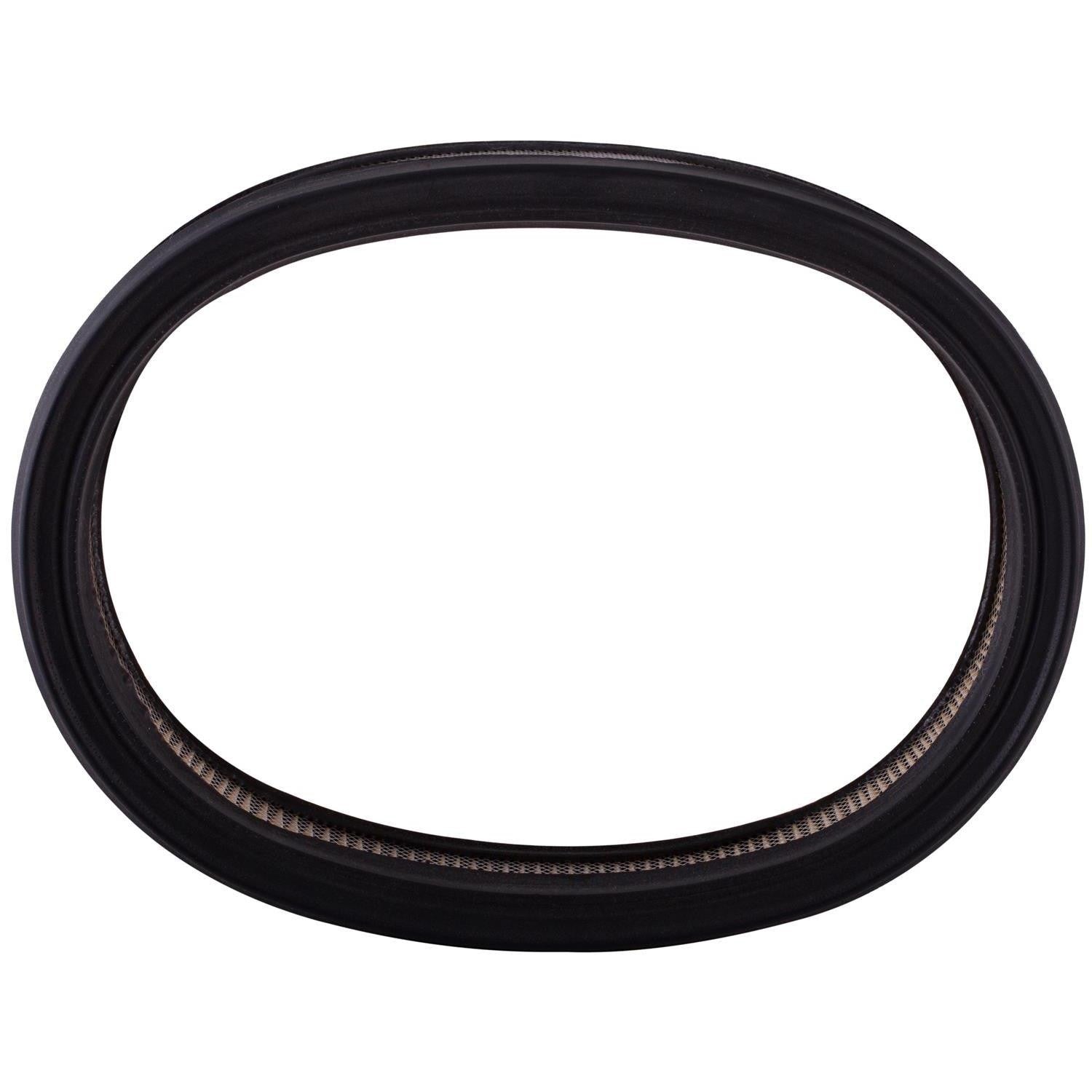 Pronto Air Filter PA4379