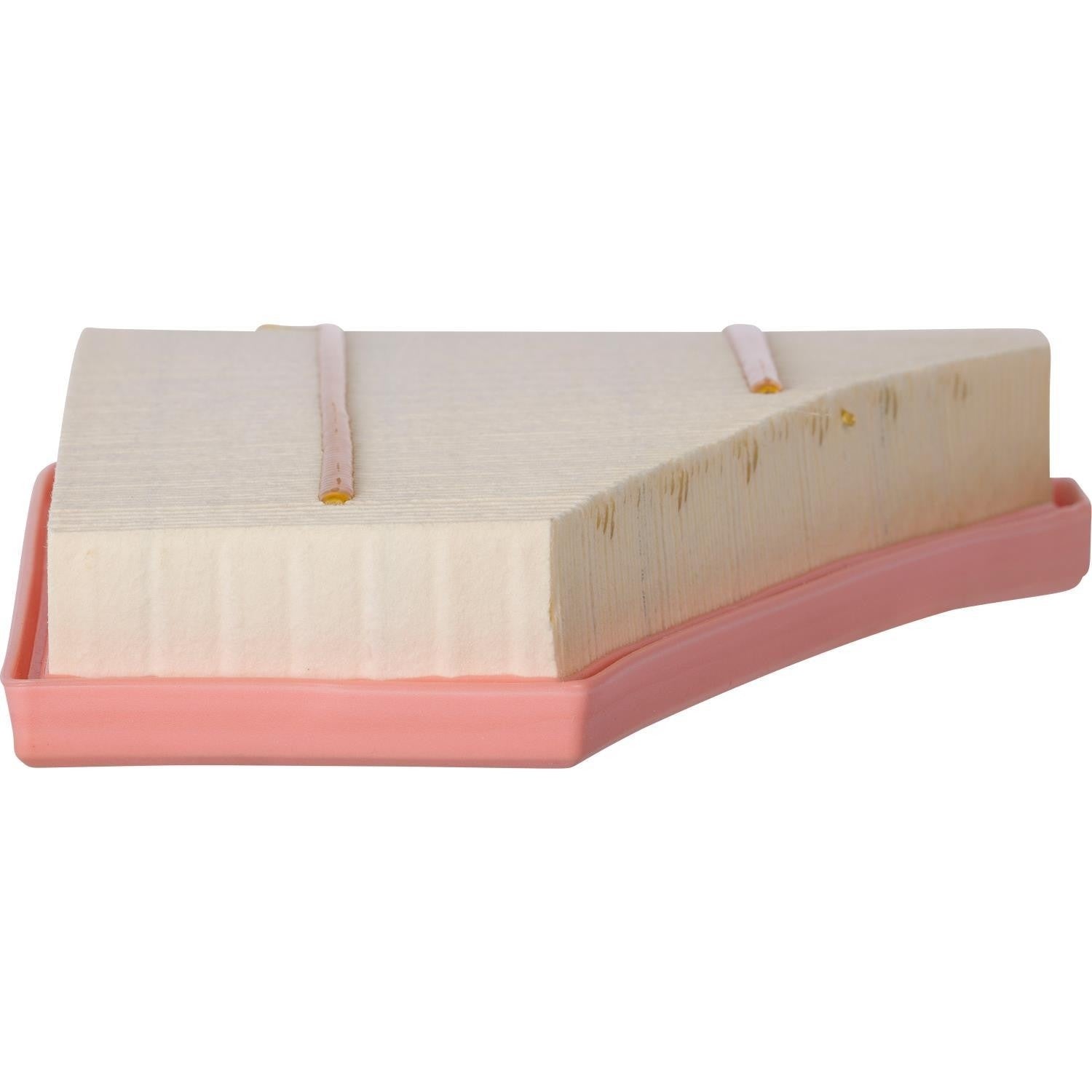 Pronto Air Filter PA99784