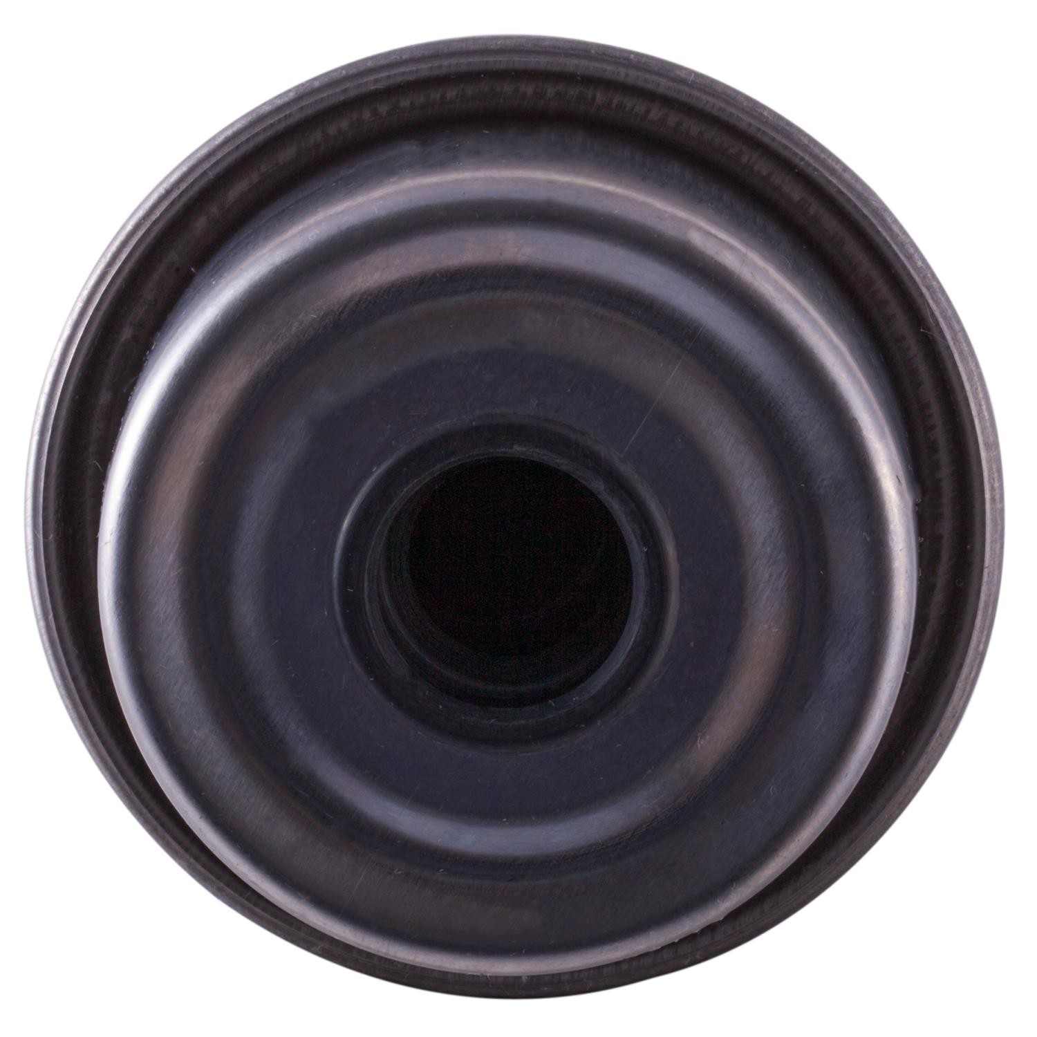 Pronto Fuel Filter PF5299