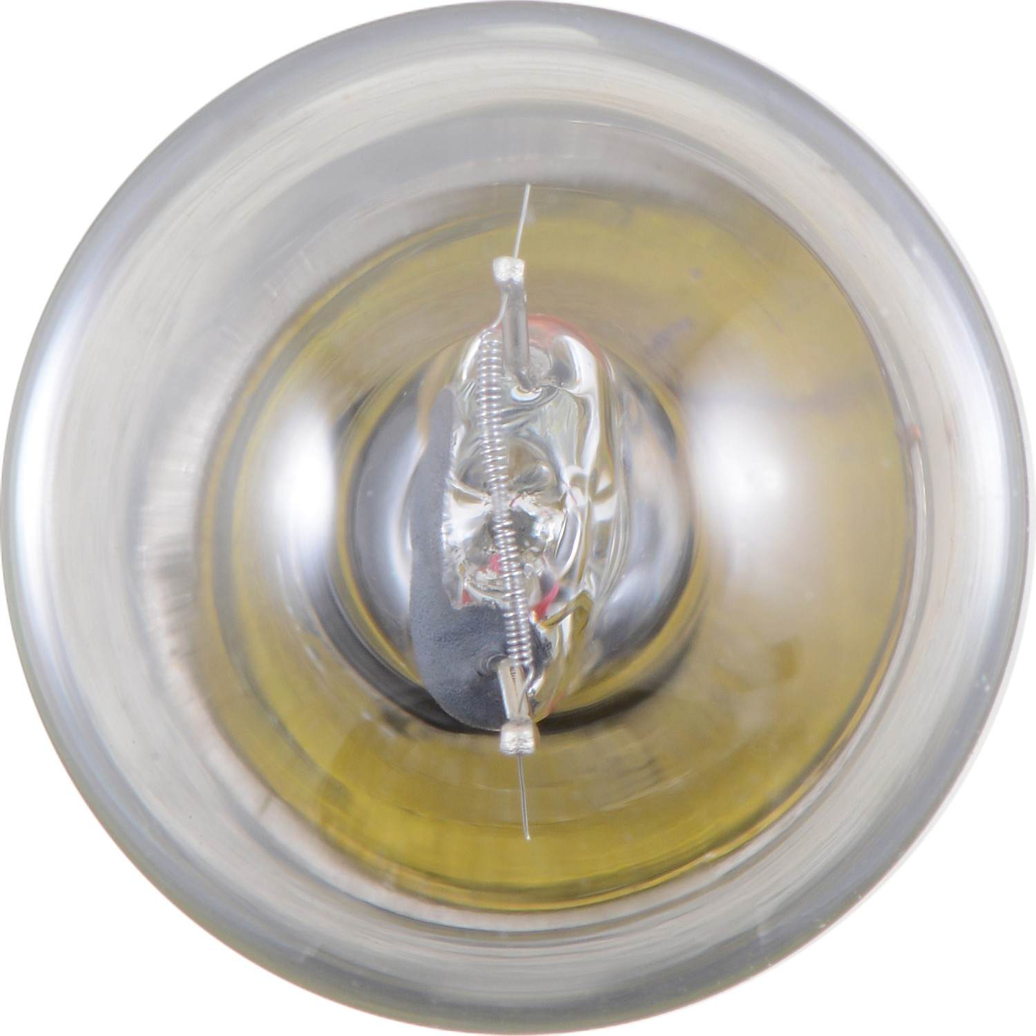 Philips Tail Light Bulb 1003LLB2