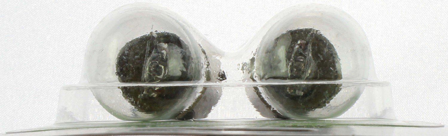 Philips Multi-Purpose Light Bulb 105LLB2