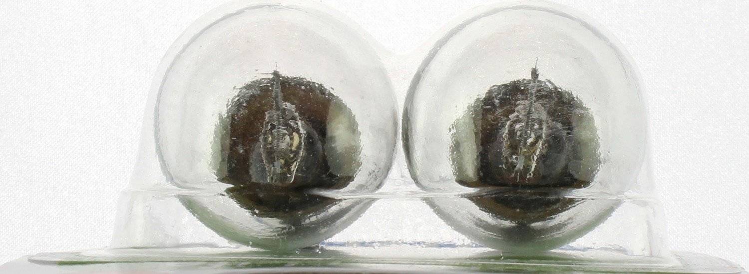 Philips Tail Light Bulb 1073LLB2