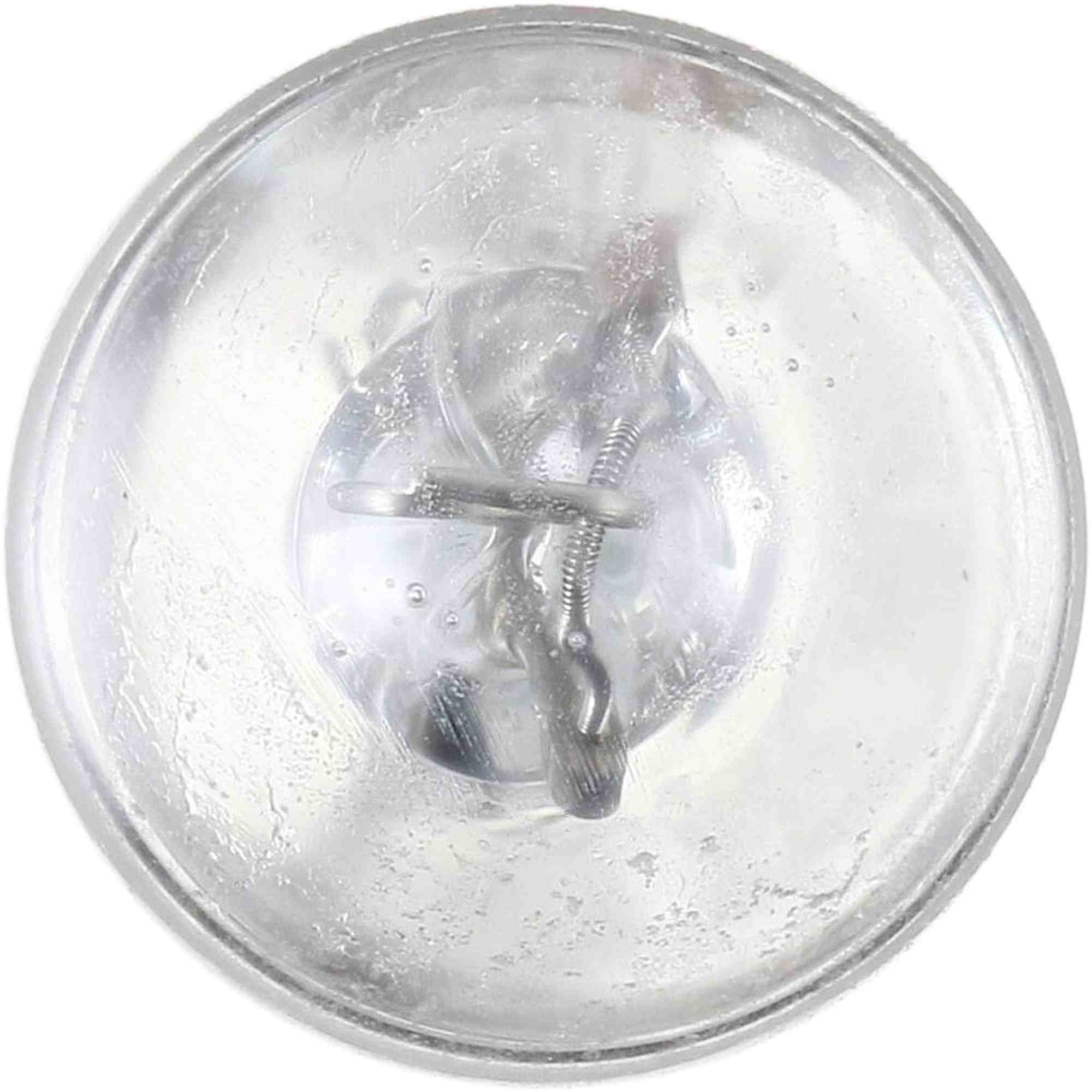 Philips Turn Signal / Parking Light Bulb top view frsport 12505LLB2