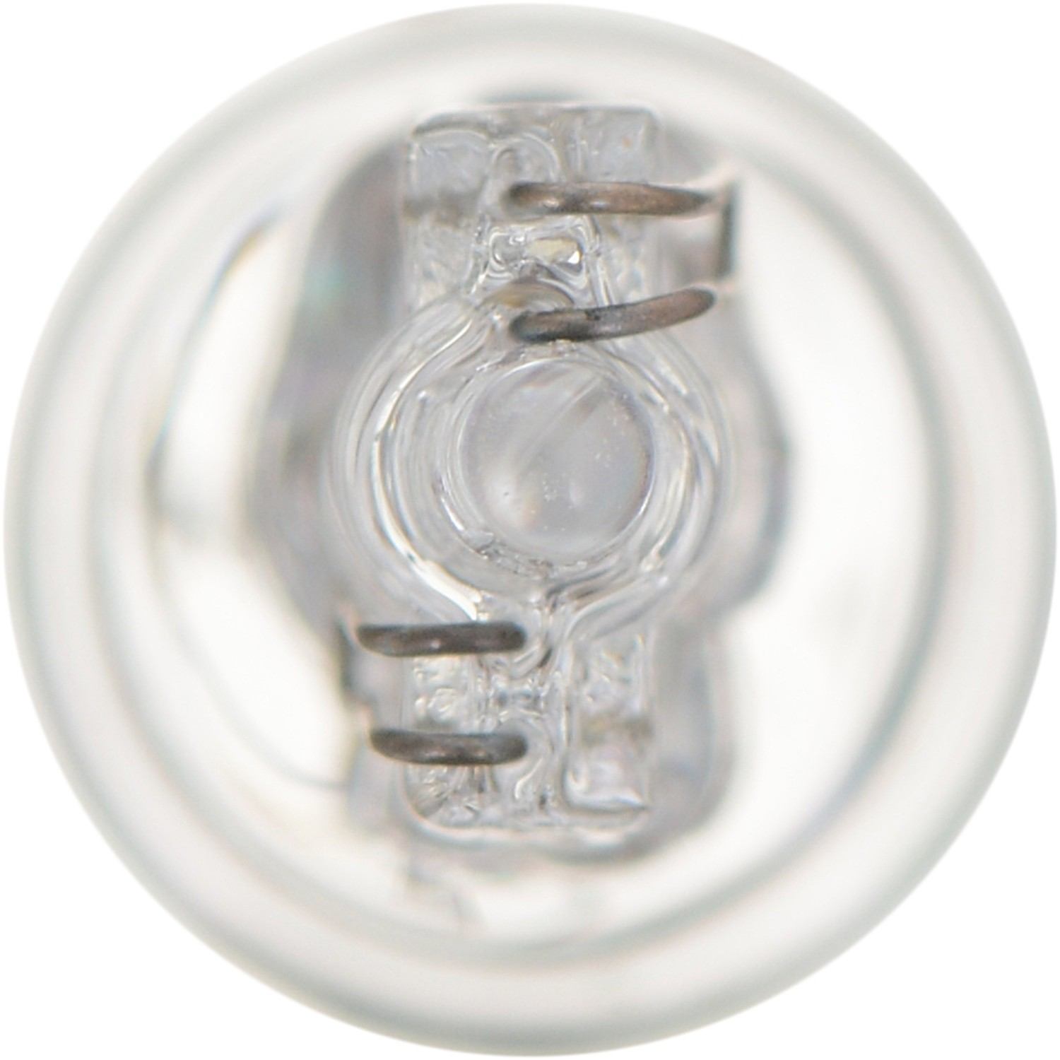 Philips Multi-Purpose Light Bulb 24CP