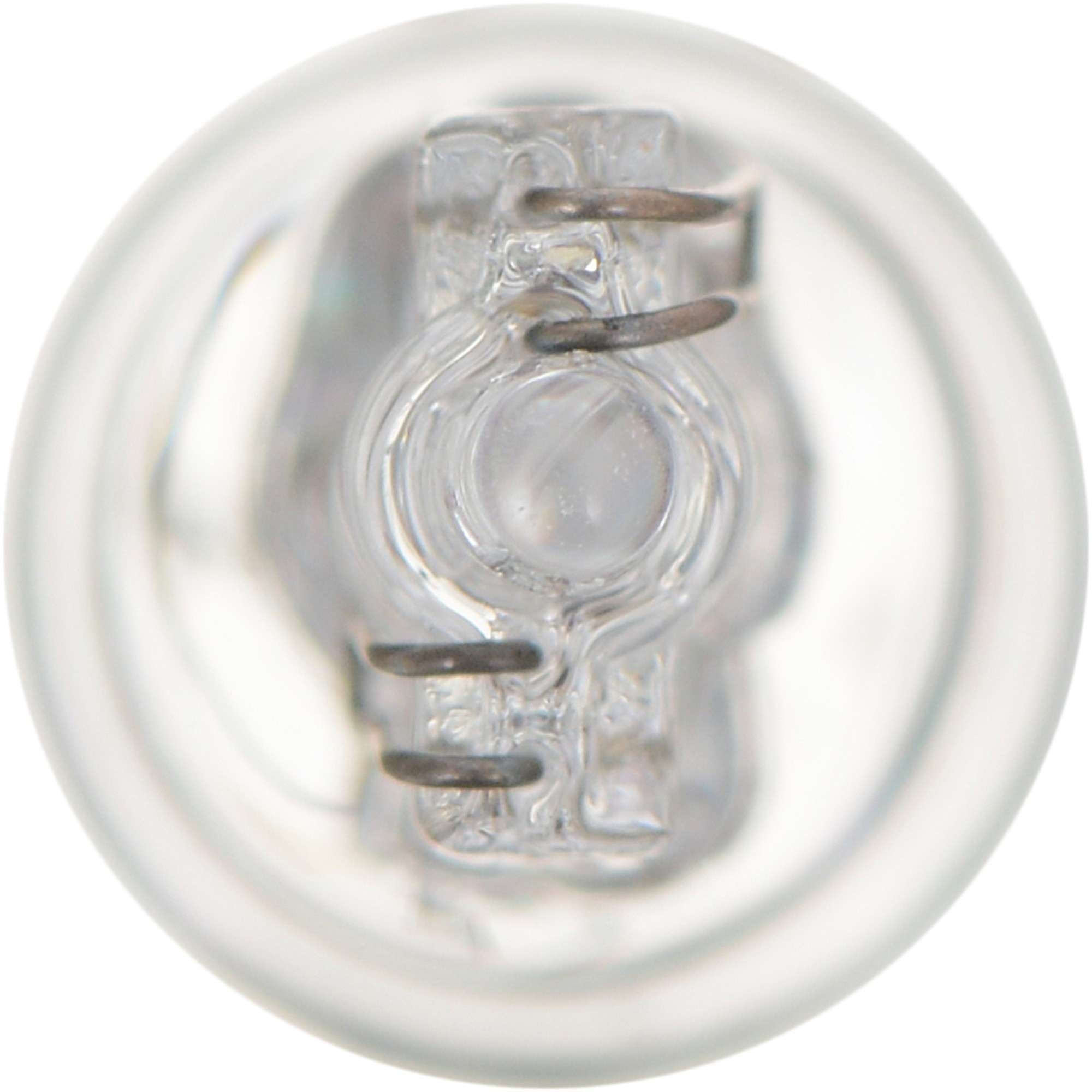 Philips Multi-Purpose Light Bulb 24CP