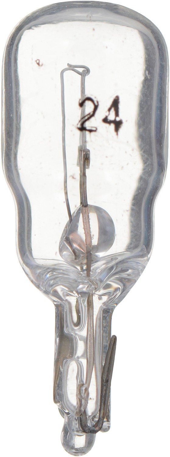 Philips Multi-Purpose Light Bulb 24CP