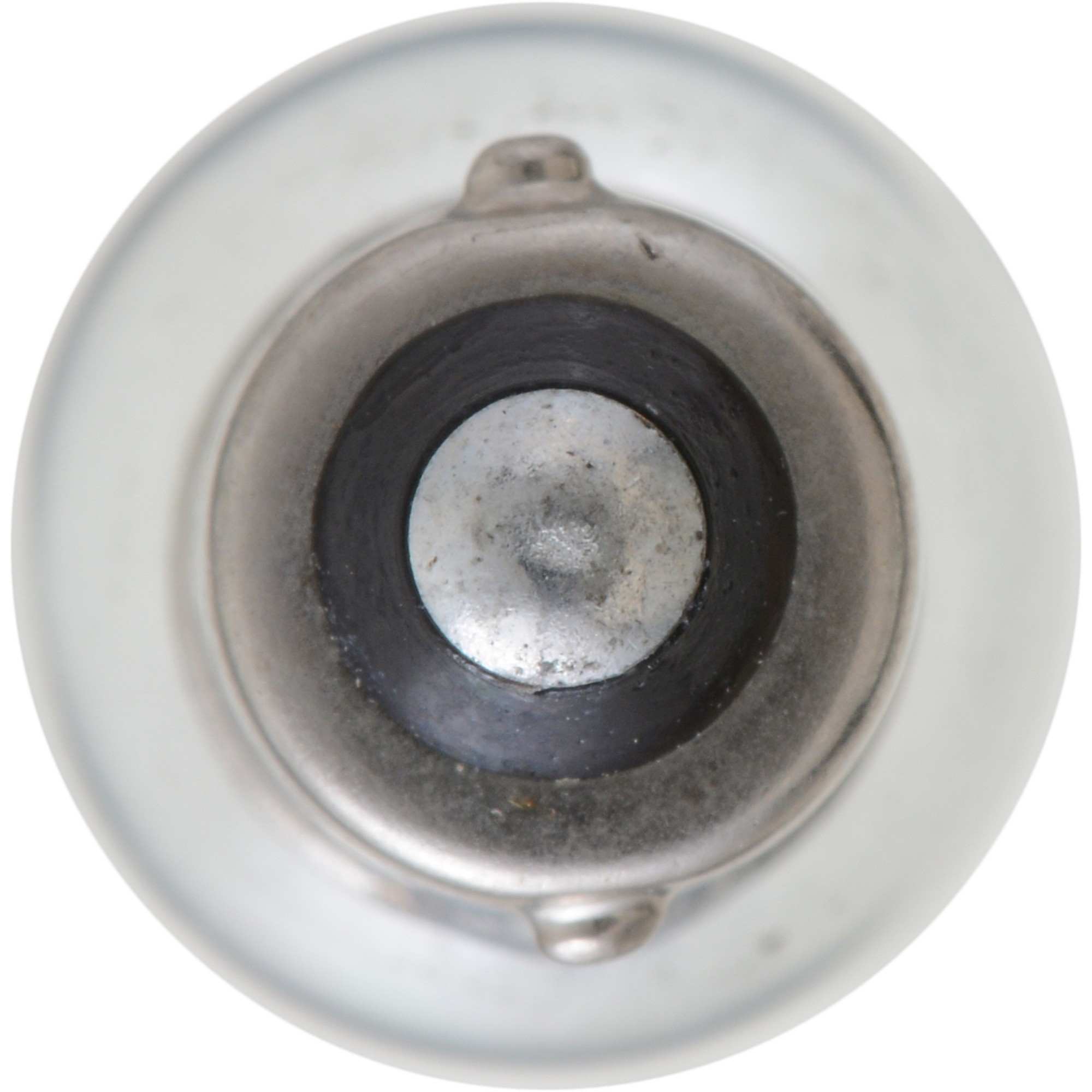 Philips Multi-Purpose Light Bulb 55LLB2