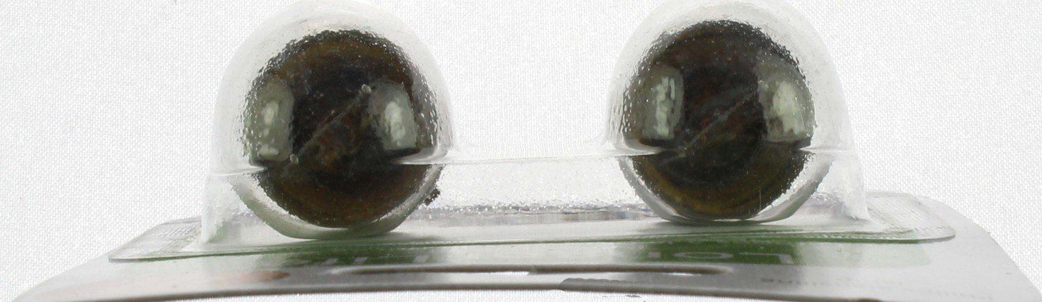 Philips Multi-Purpose Light Bulb 67LLB2