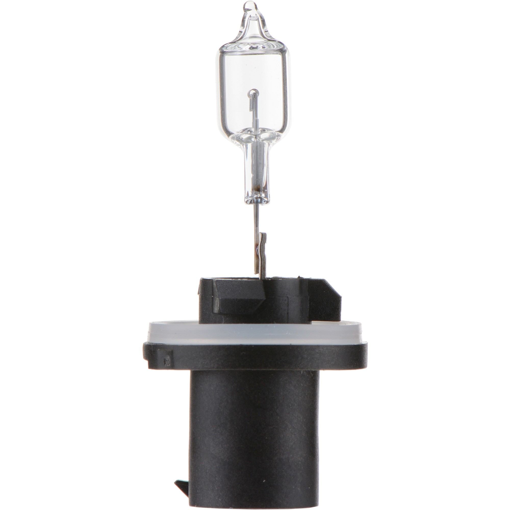 Philips Fog Light Bulb 890B1