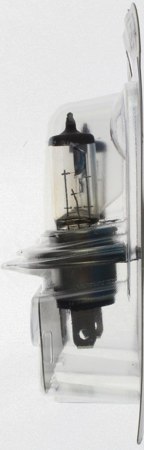 Philips Headlight Bulb 9003PRB2