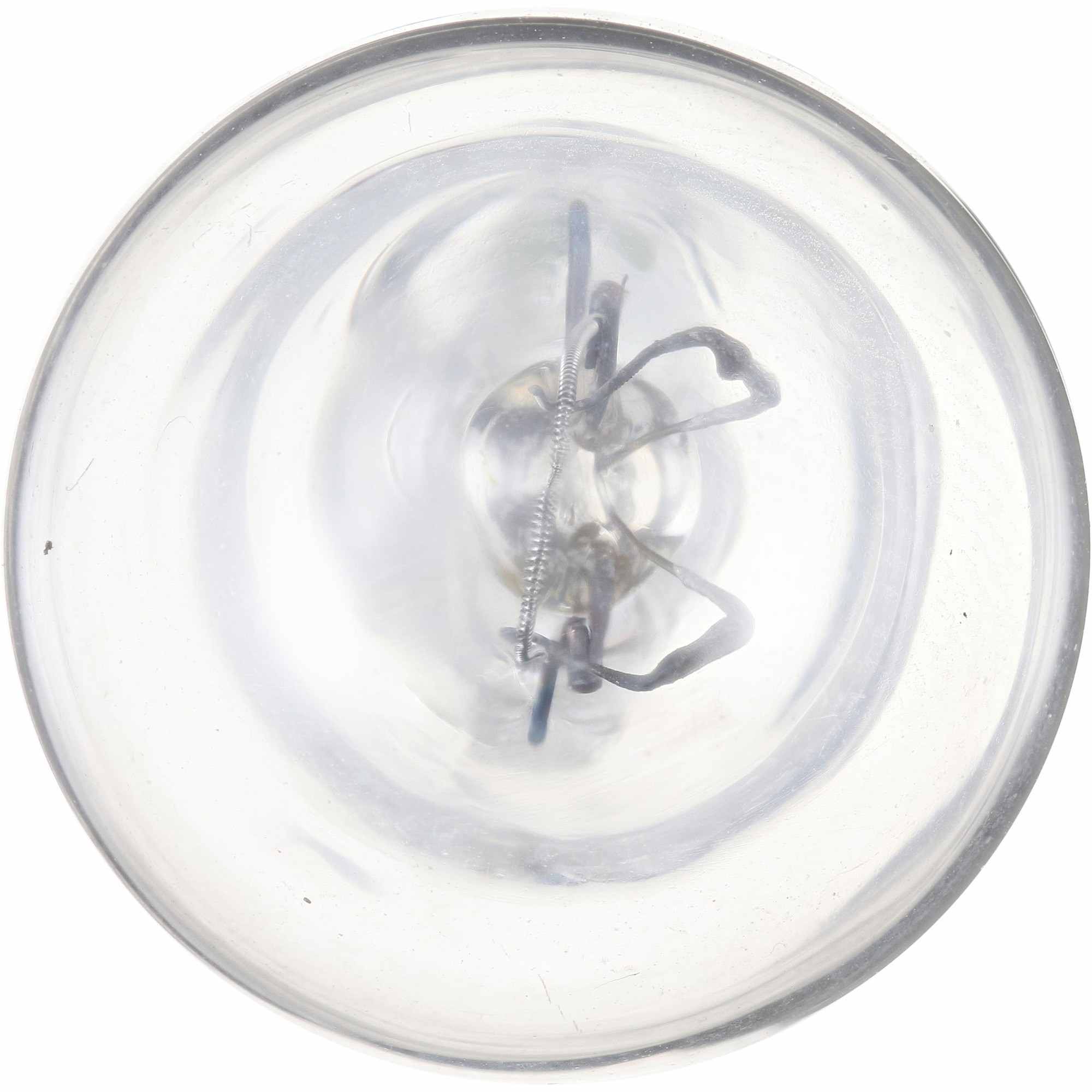 Philips Back Up Light Bulb 906B2