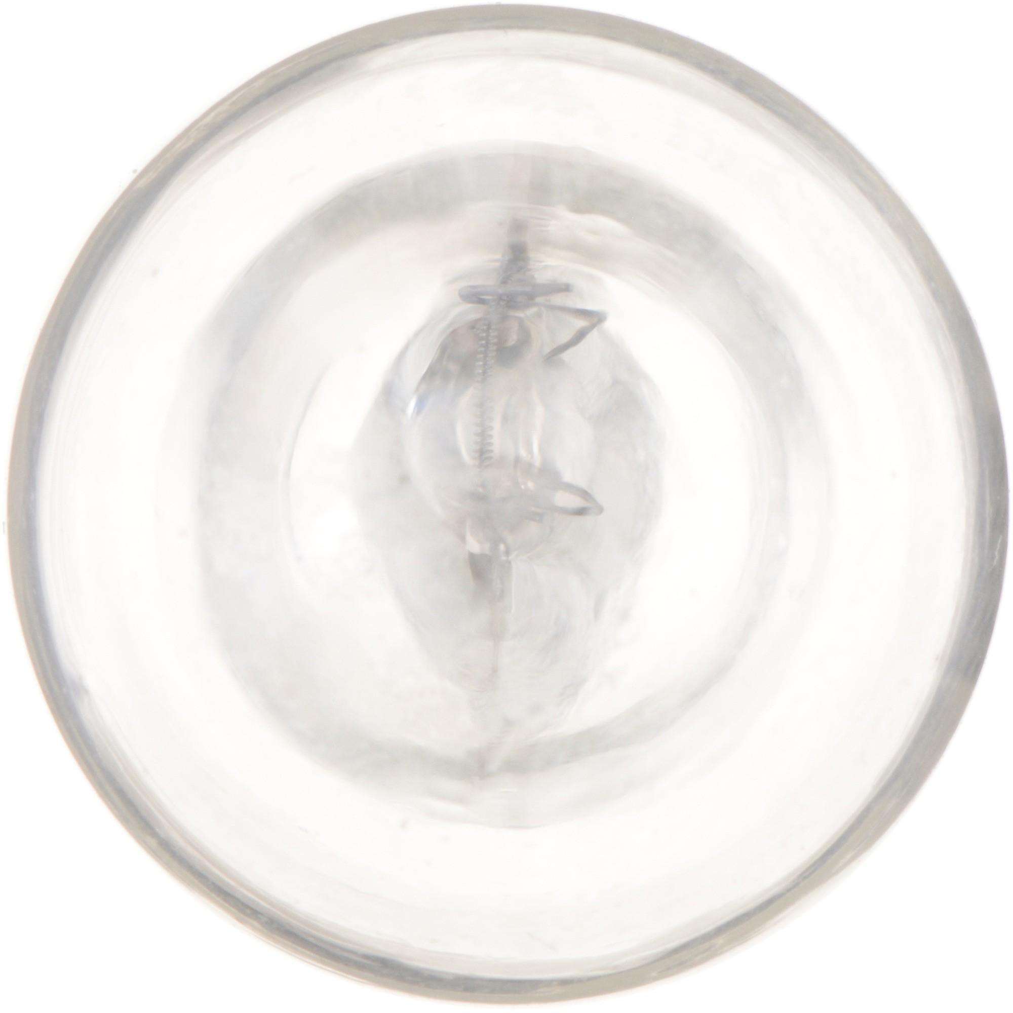 Philips Back Up Light Bulb 906CP