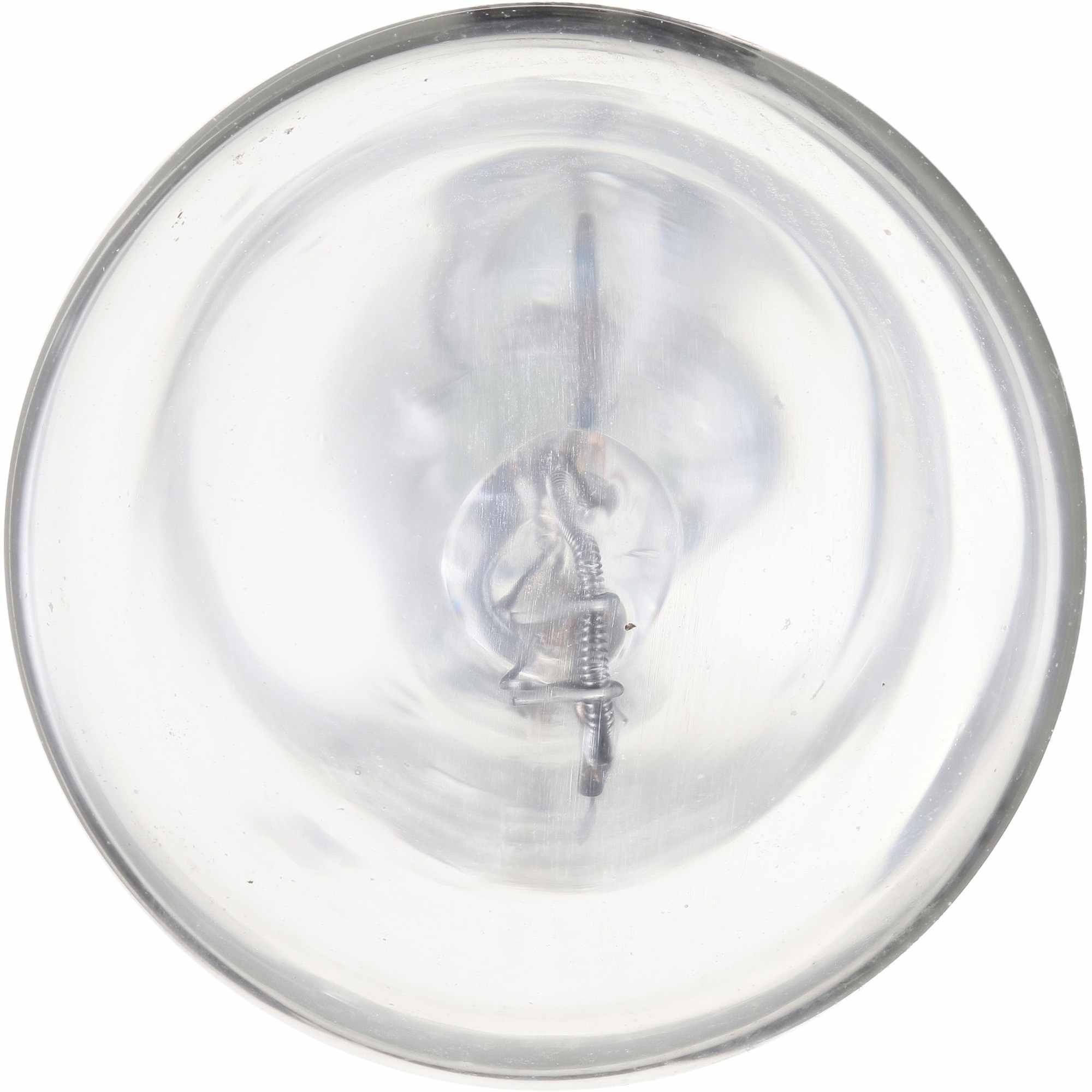 Philips Back Up Light Bulb 916LLB2