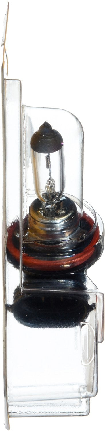 Philips Headlight Bulb H11B1