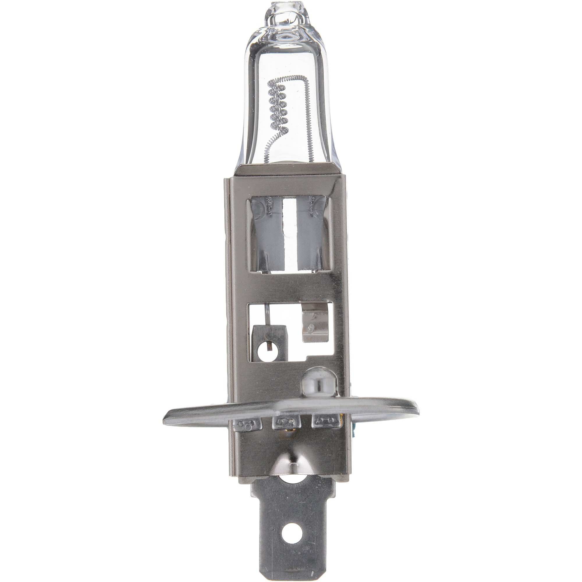 Philips Multi-Purpose Light Bulb H1C1-24V