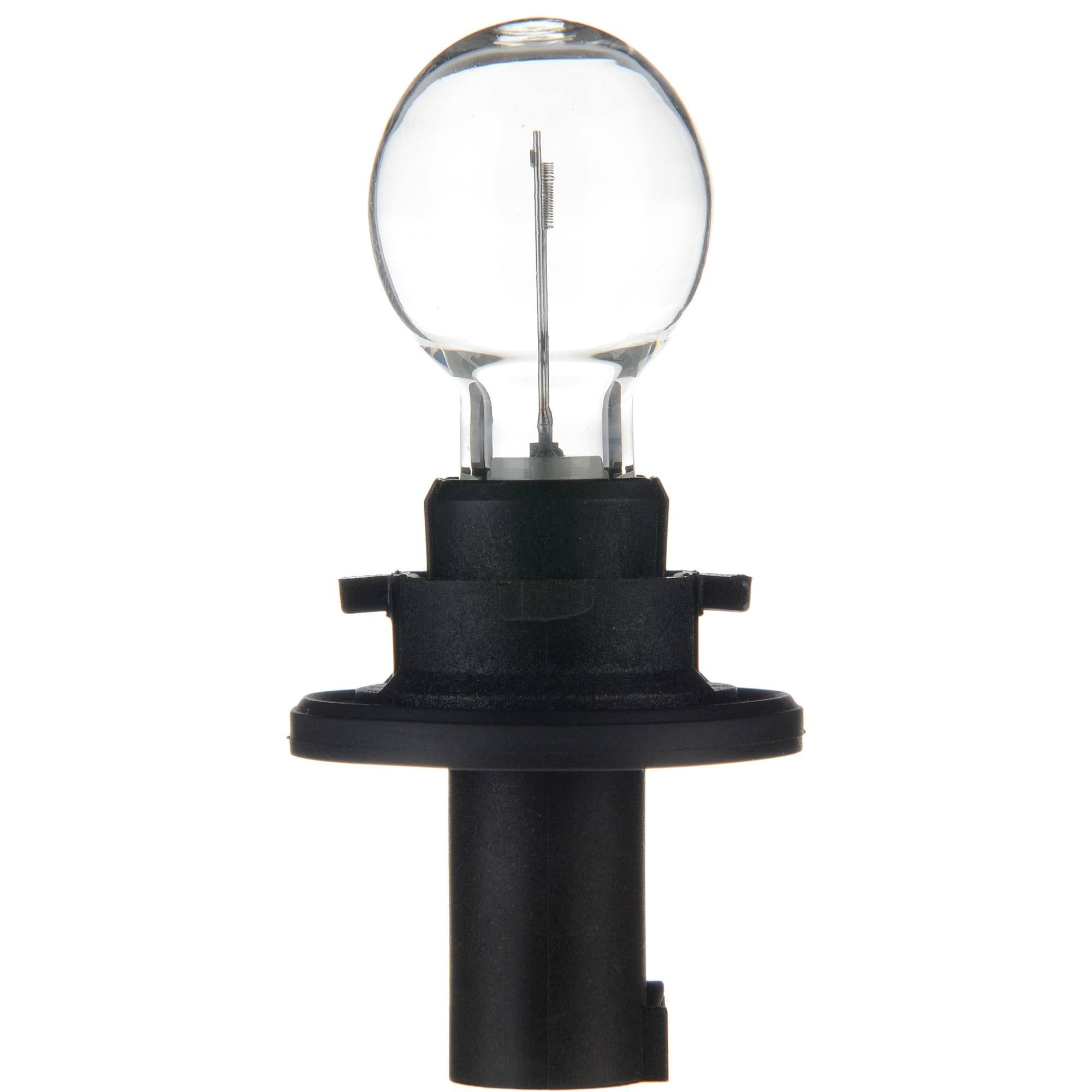 Philips Turn Signal Light Bulb HPC19WC1