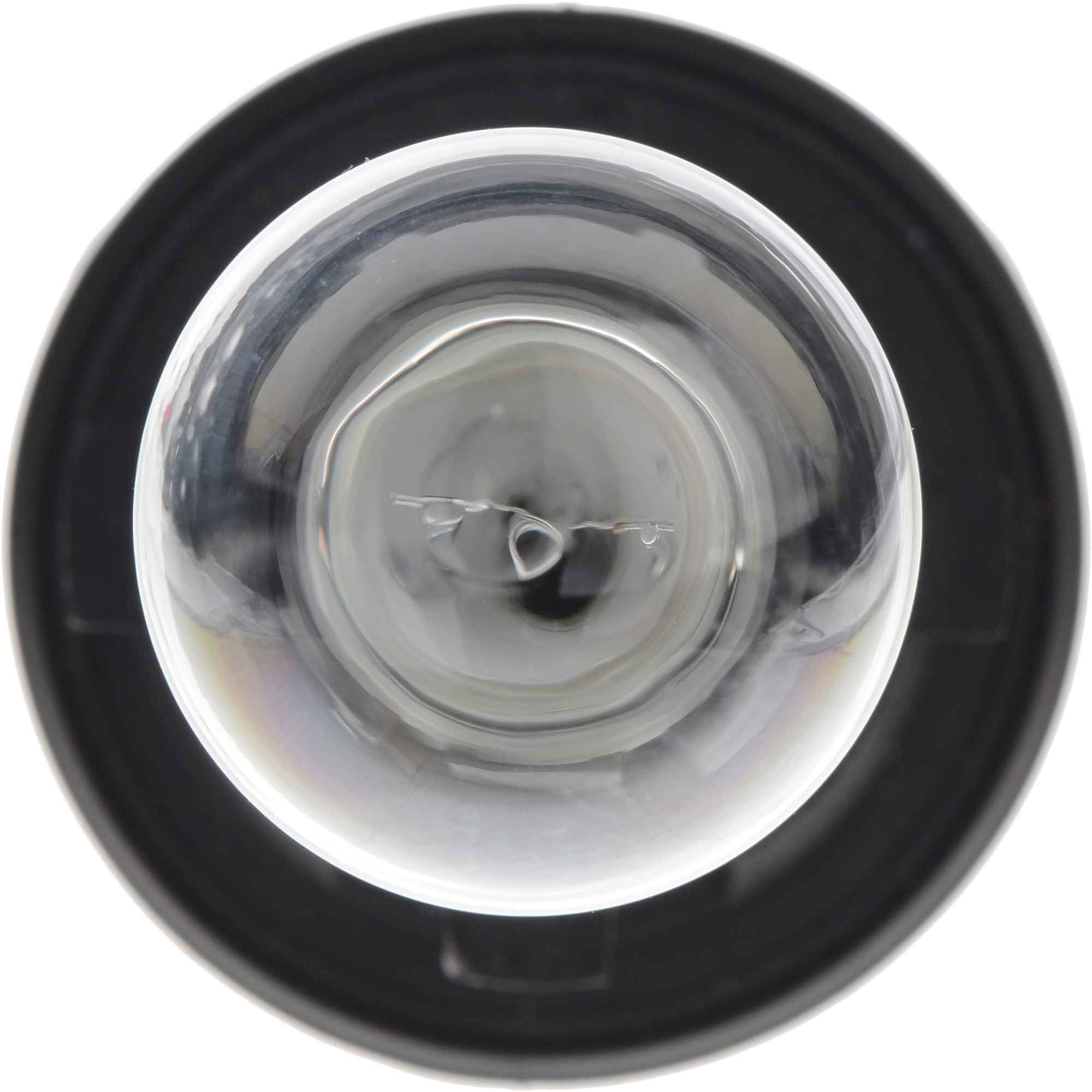 Philips Turn Signal Light Bulb HPC19WC1