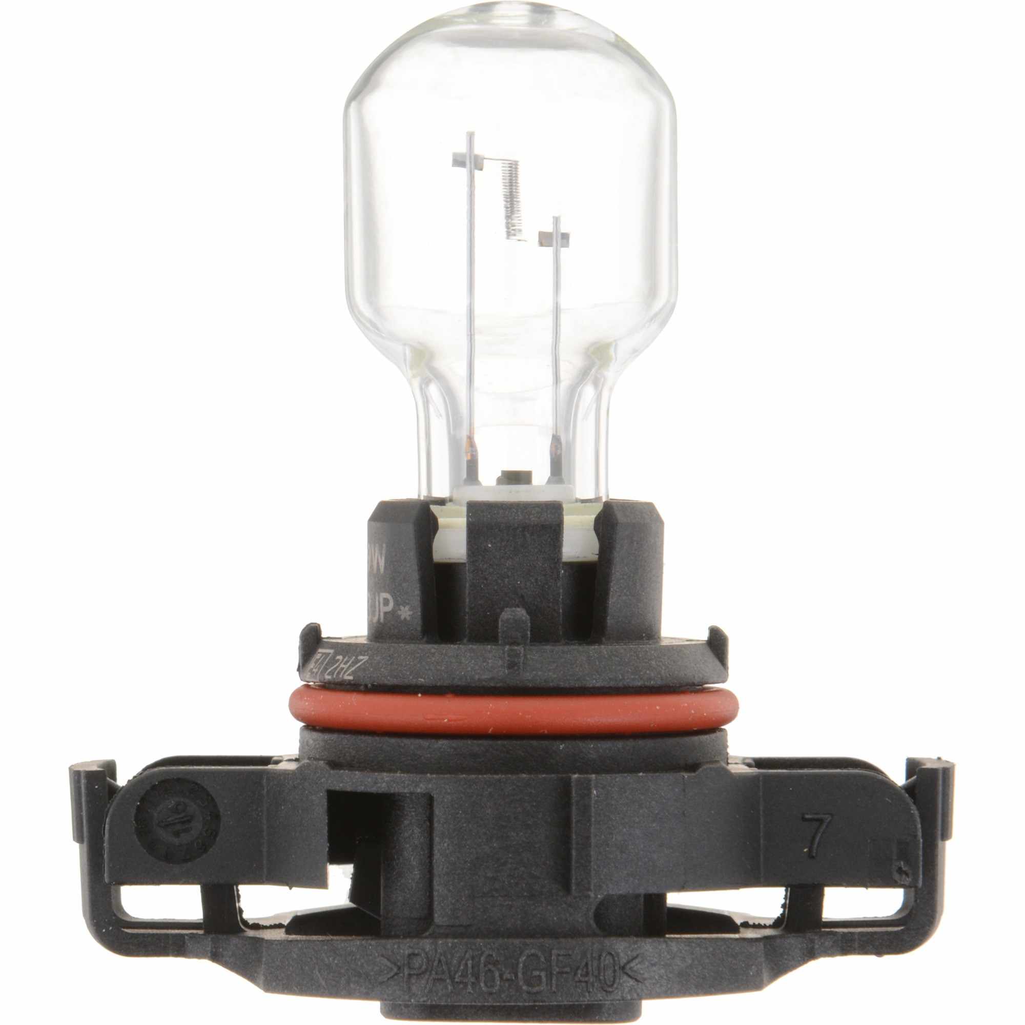 Philips Fog Light Bulb PS19WC1