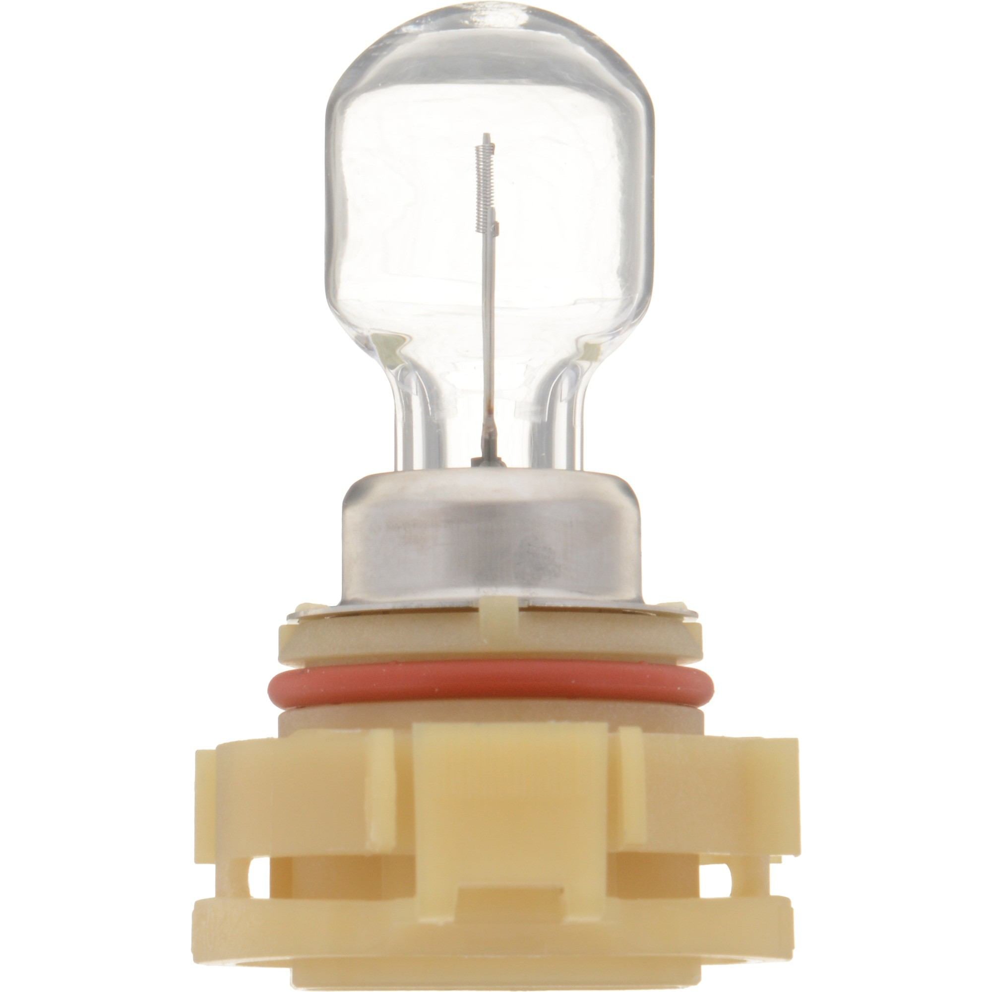 Philips Fog Light Bulb PSX24WC1