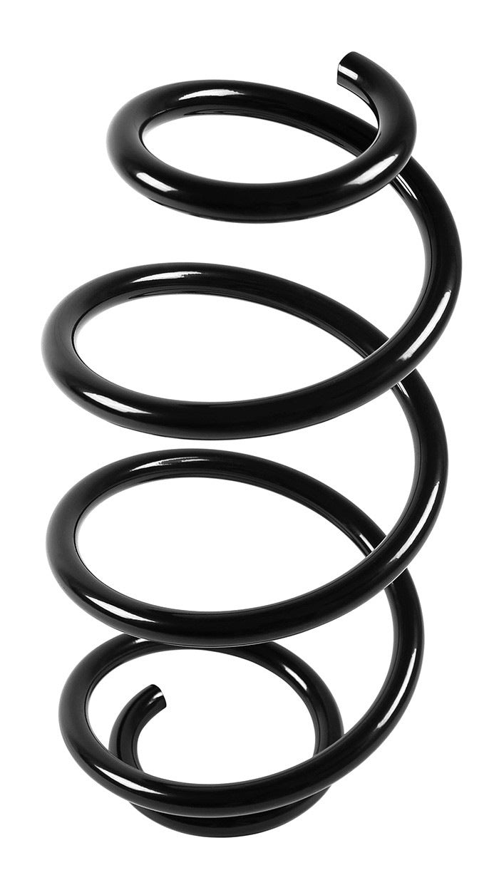 Professional Parts SWEDEN Coil Spring 43415852
