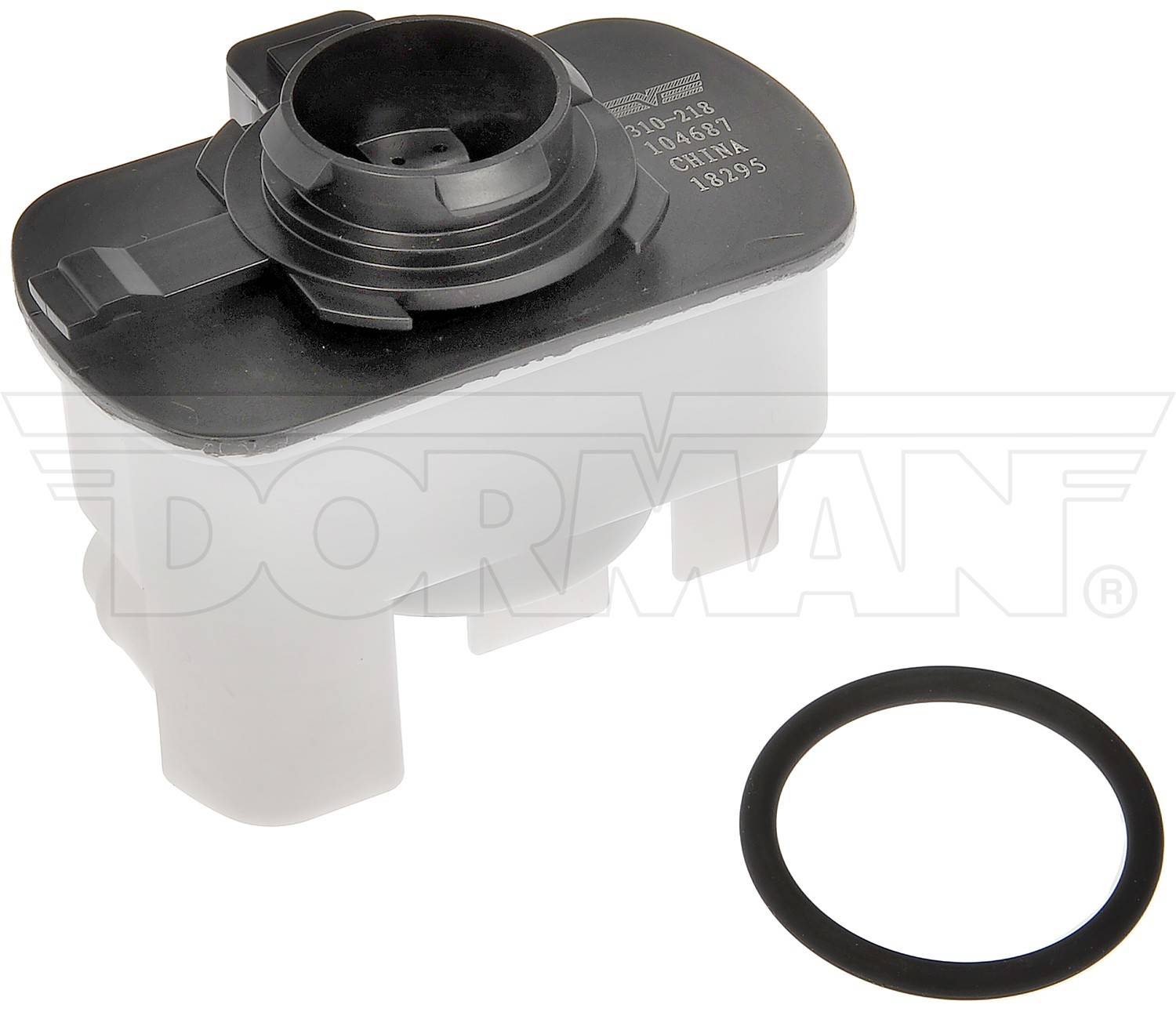 Dorman Leak Detection Pump