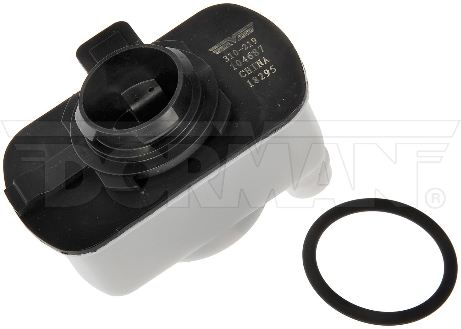Dorman Leak Detection Pump