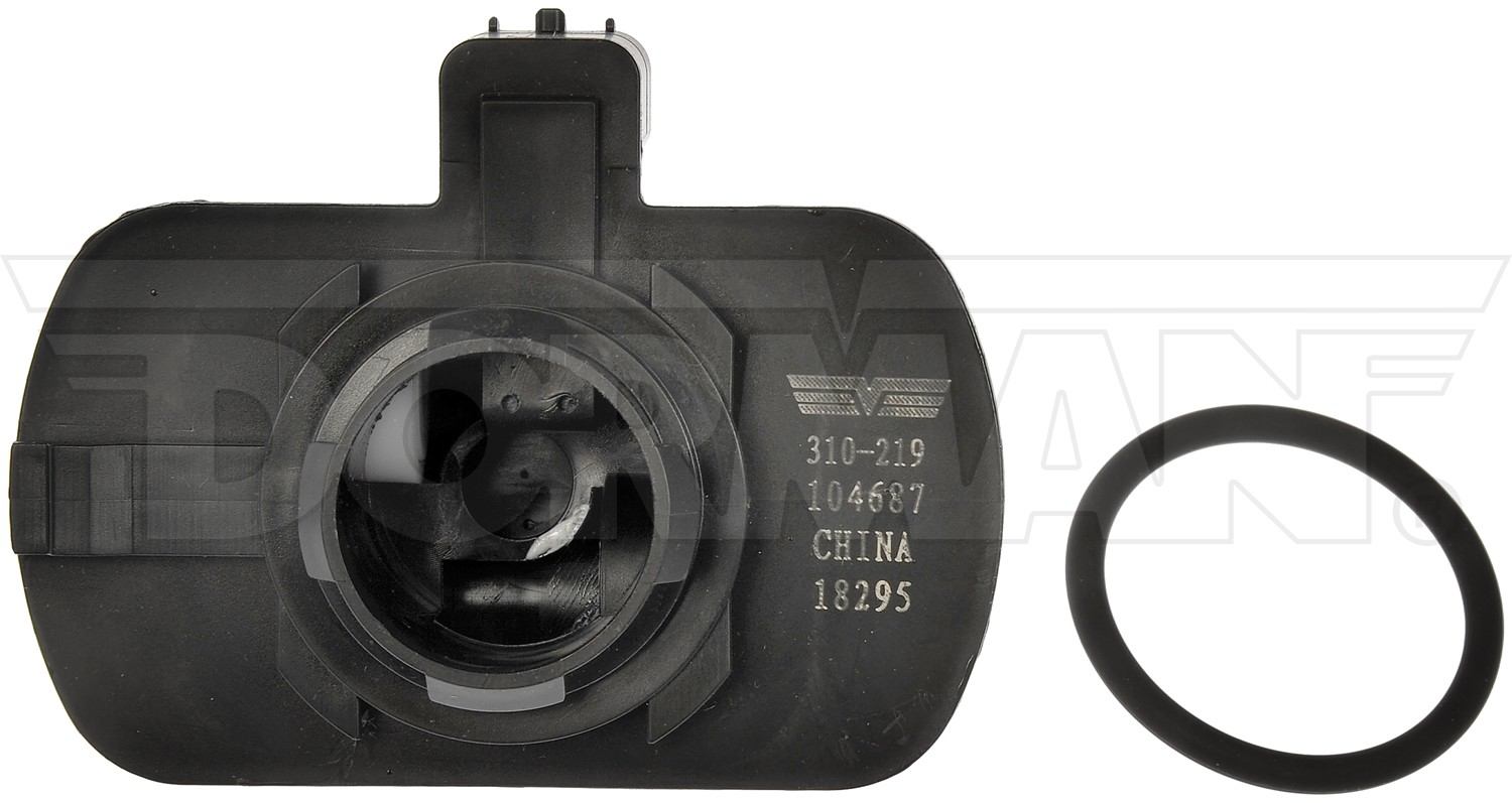 Dorman Leak Detection Pump