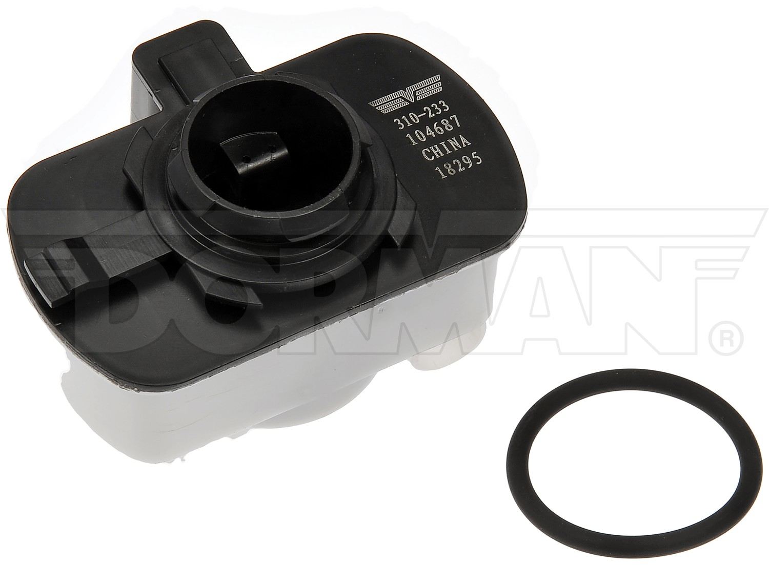 Dorman Leak Detection Pump