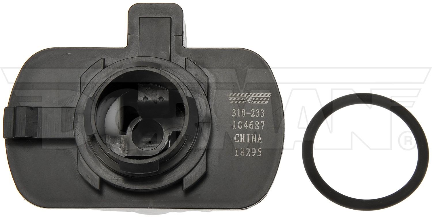 Dorman Leak Detection Pump