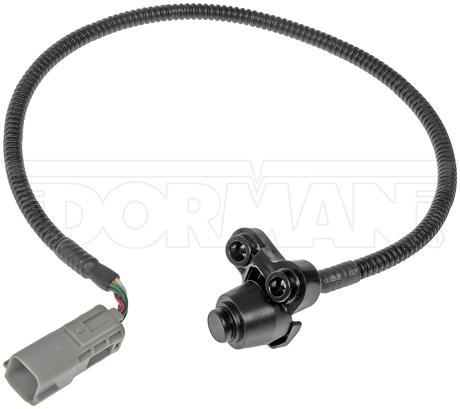 Dorman Parking Camera