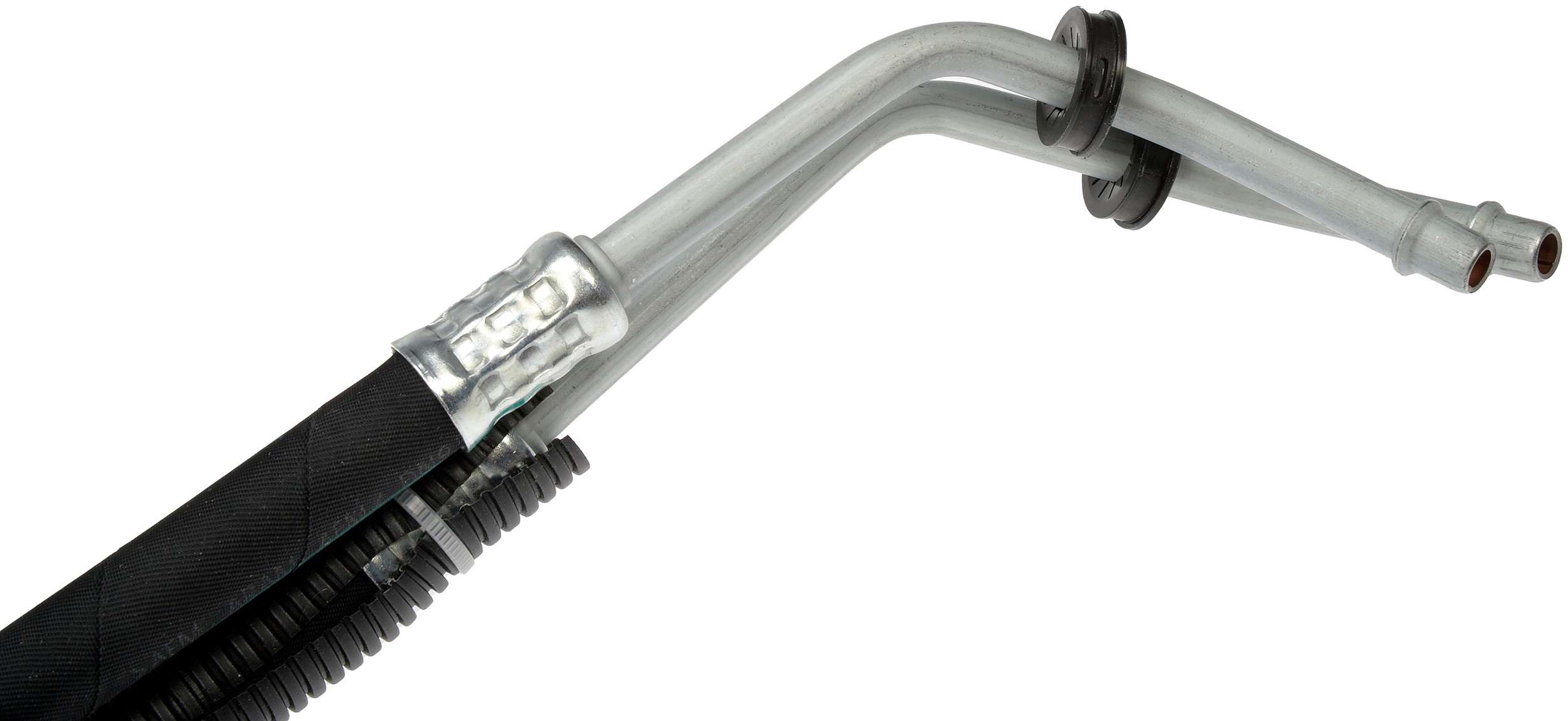 Dorman Transmission Line