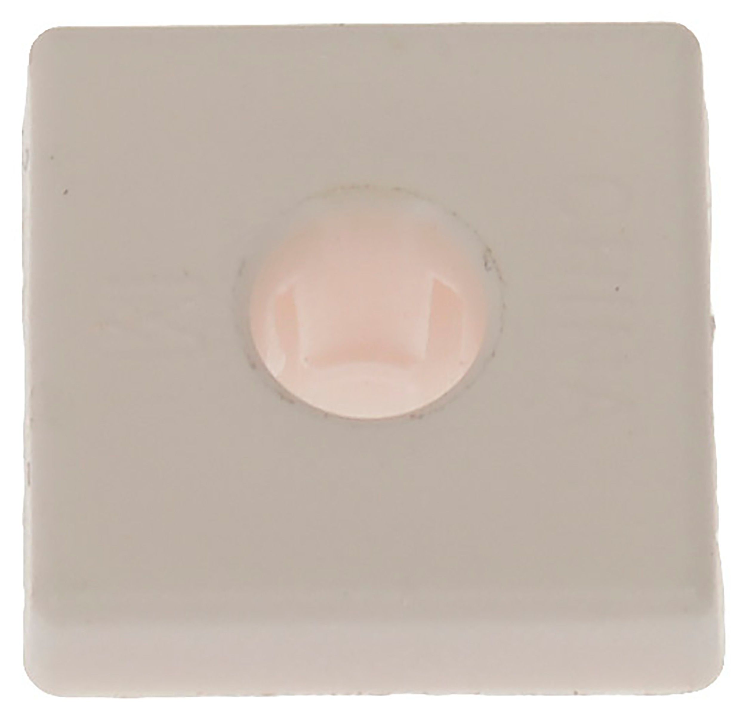 Dorman - Autograde LICENSE PLATE FASTENERS 848-014