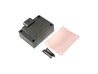 Dorman Pump Mounted Driver Module