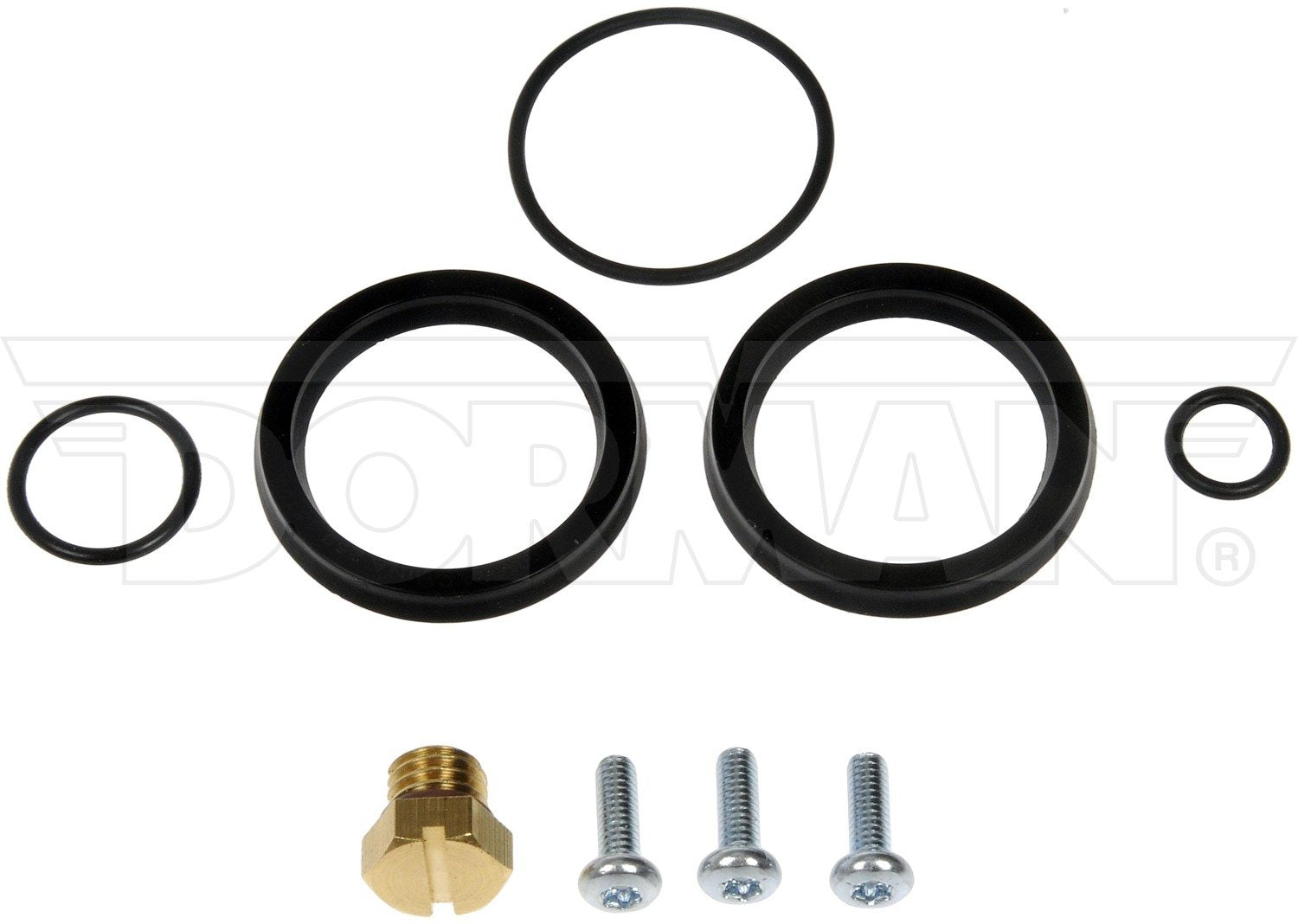 Dorman Fuel Primer Seal Kit With Brass Bleeder Screw