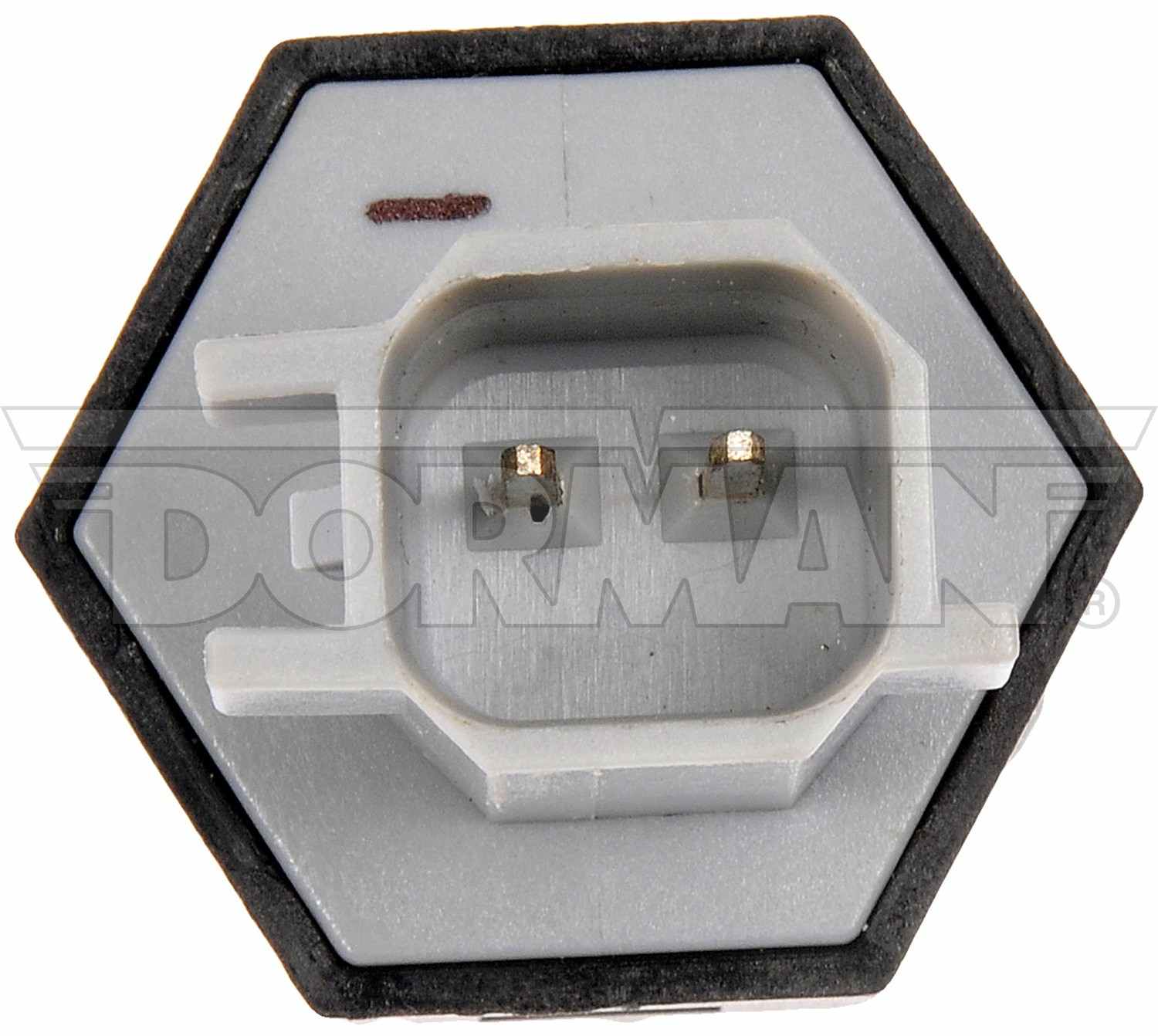 Dorman Water Fuel Sensor